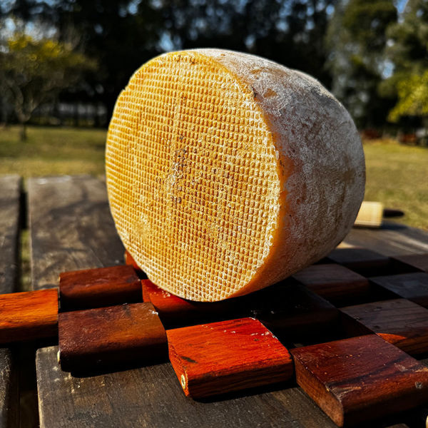 Imagen de Parmesano Clásico