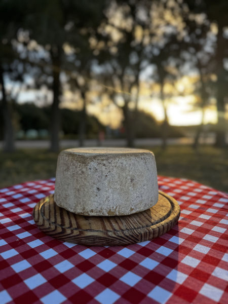 Imagen de Queso sardo 8 a 12 meses