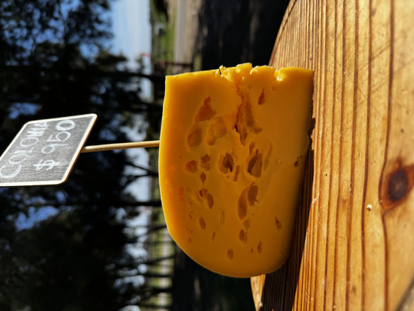 Imagen de Colonia Especial