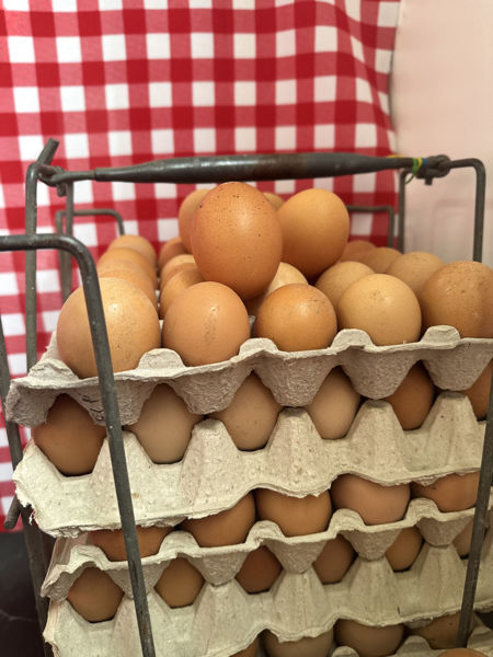 Imagen de Huevos de Gallinas Felices
